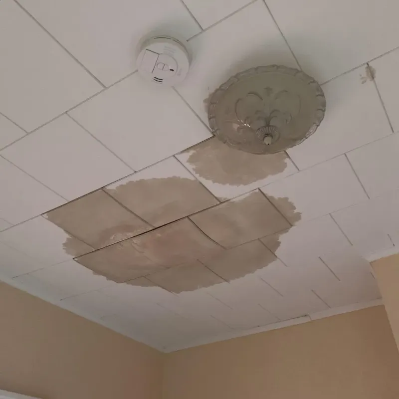 Ceiling Water Damage Repair in Eddy County, ND