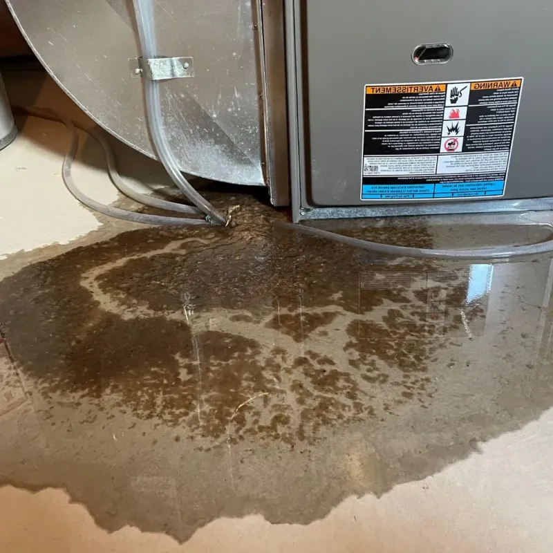 Pipe Burst and Leak Restoration in Eddy County, ND
