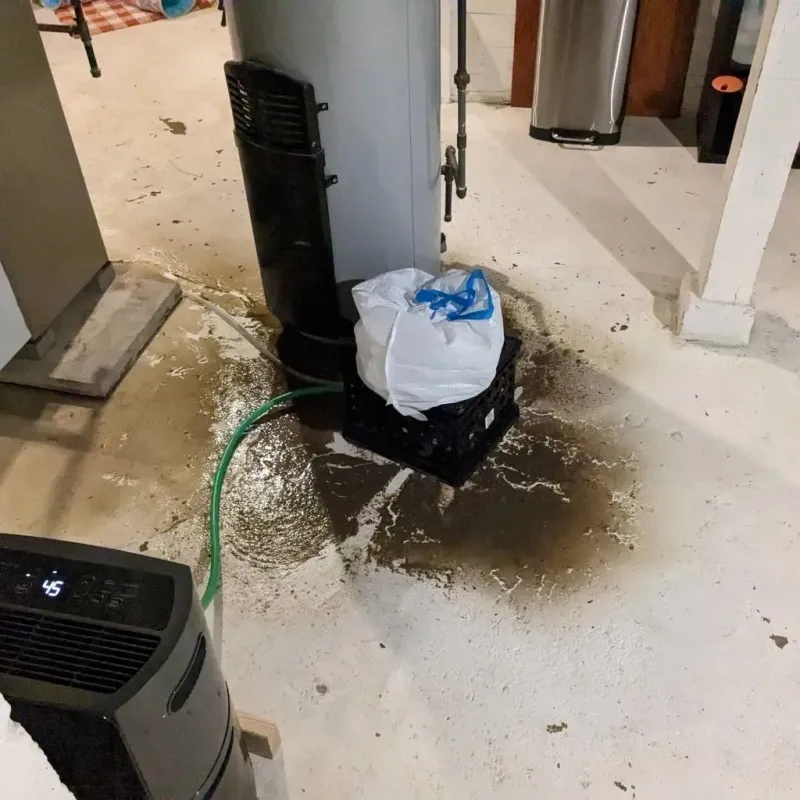 Sewage Backup Cleanup Service in Eddy County, ND